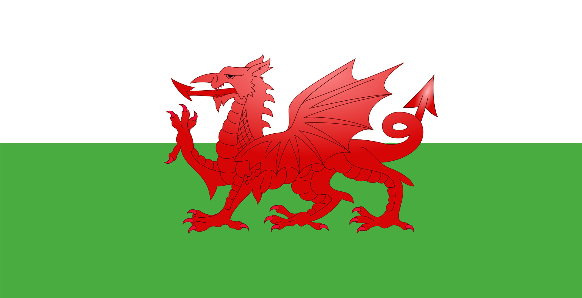 Read more about the article Welsh word of the week!