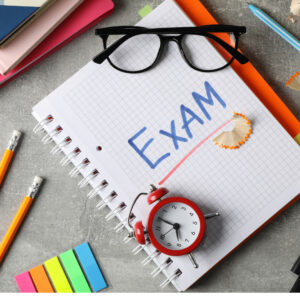 Read more about the article GCSE Revision